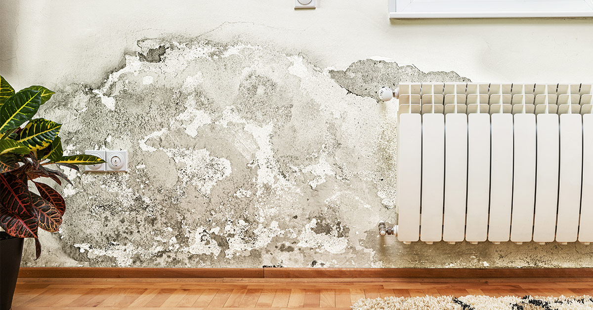 How to Eliminate Musty Odor from Water Damage
