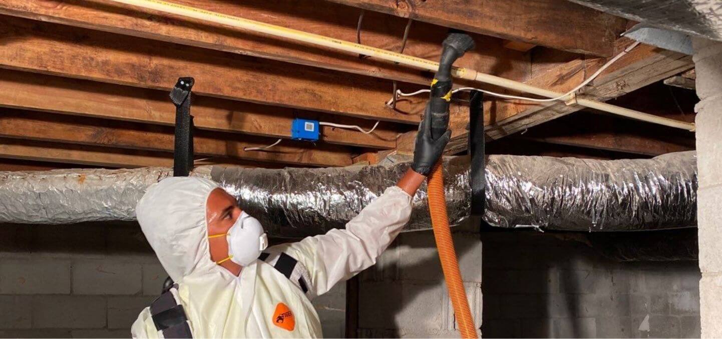 Basement & Crawlspace Water Damage Services